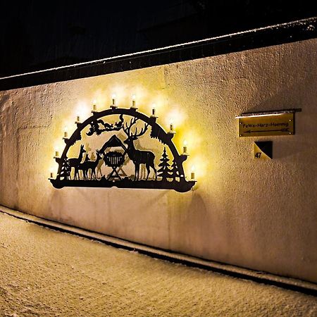 Fewo Harz Haennig 1 Wieda Exterior foto