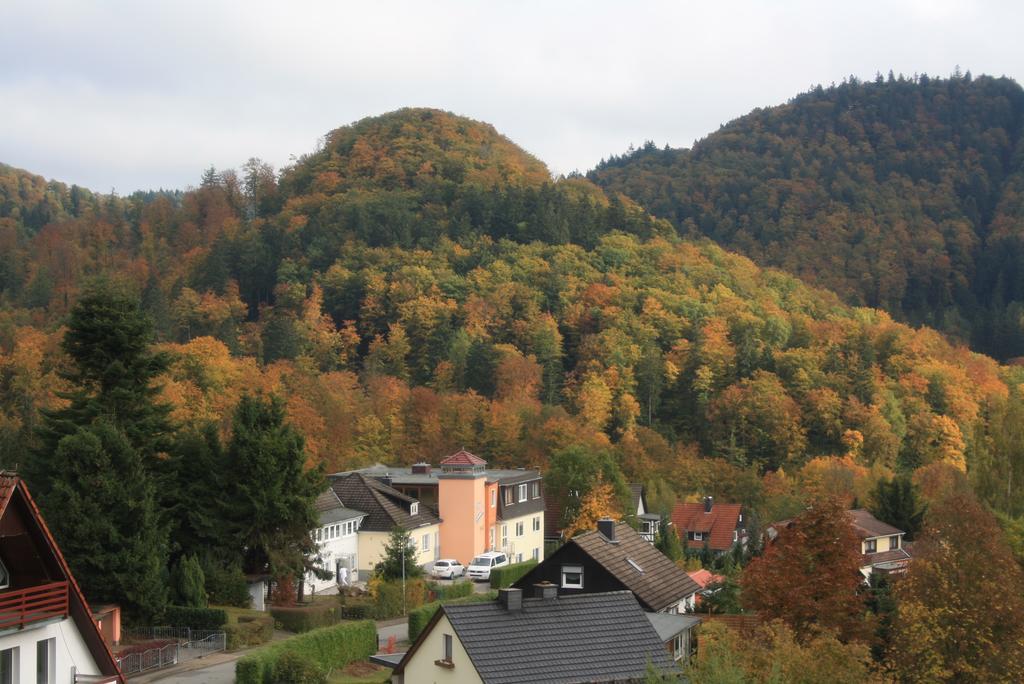 Fewo Harz Haennig 1 Wieda Exterior foto